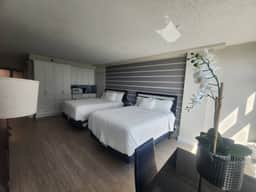 Daytona Beach Adjoining OceanView Modern Units - Image 3