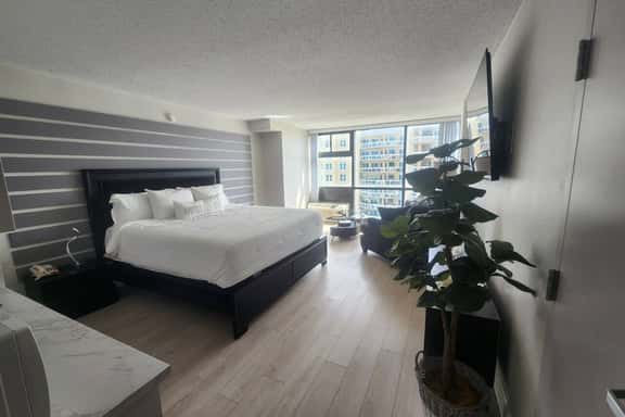 Stunning Deluxe King Studio - Image 1
